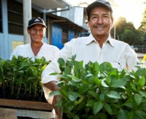 ecologie PUR project amazonia